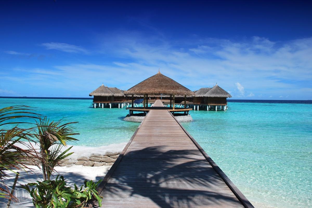 Bezoek aan Bonaire's botanische tuinen en parken