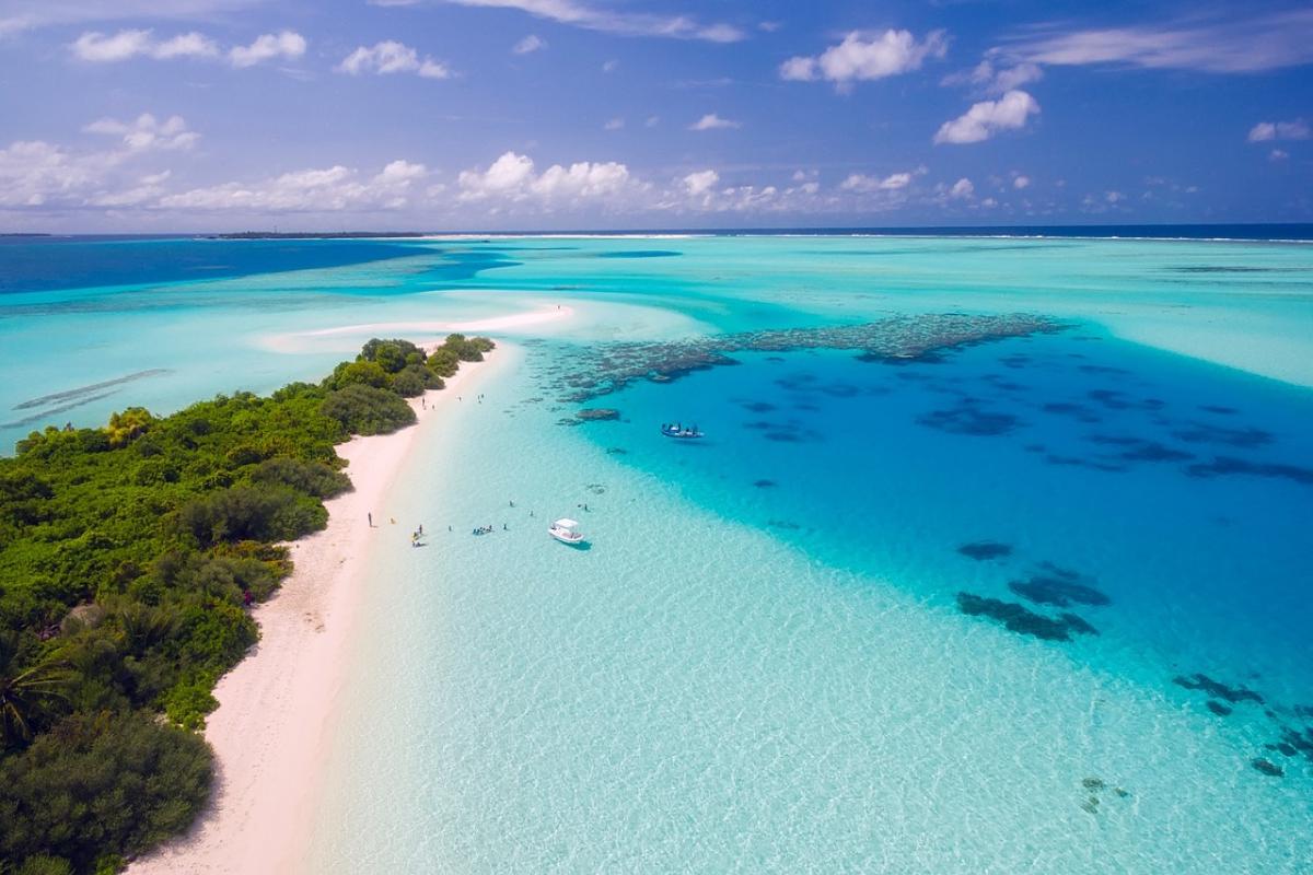 Duiken met haaien bij de Shark Mountain van Bonaire