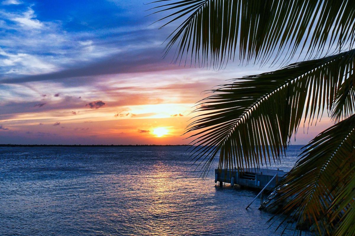 Exotische vruchten van Bonaire: een tropische verwennerij