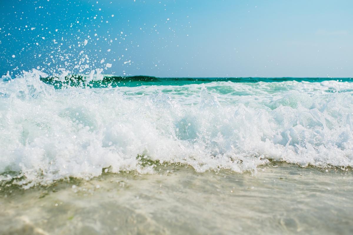 Nachtduiken om het verborgen nachtleven van Bonaire te ontdekken