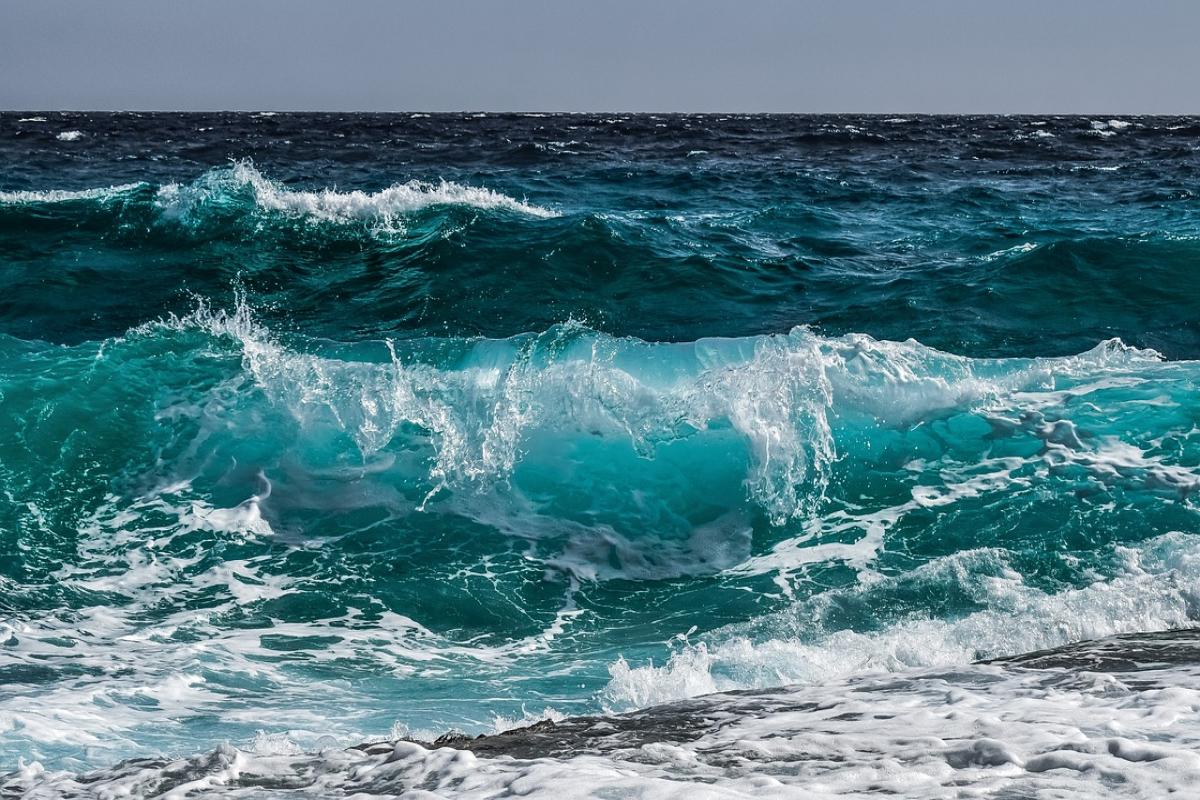 Vliegeren op de uitgestrekte zandstranden van Bonaire